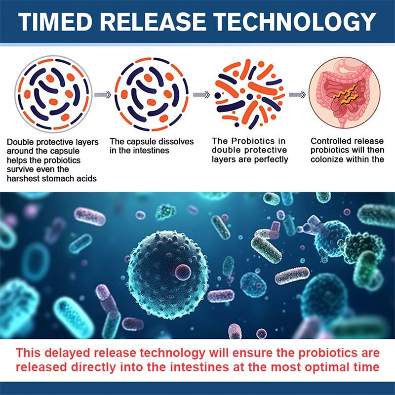 50 Billion Probiotic Capsules  - đánh giá và giá Probiotic 60 Billion